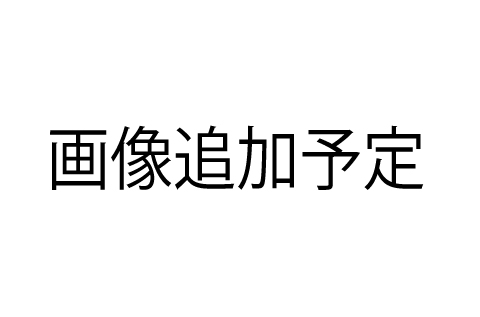 西南学院大学大学院 人間科学研究科 入試日程検索 心理大学院検索 中央ゼミナール